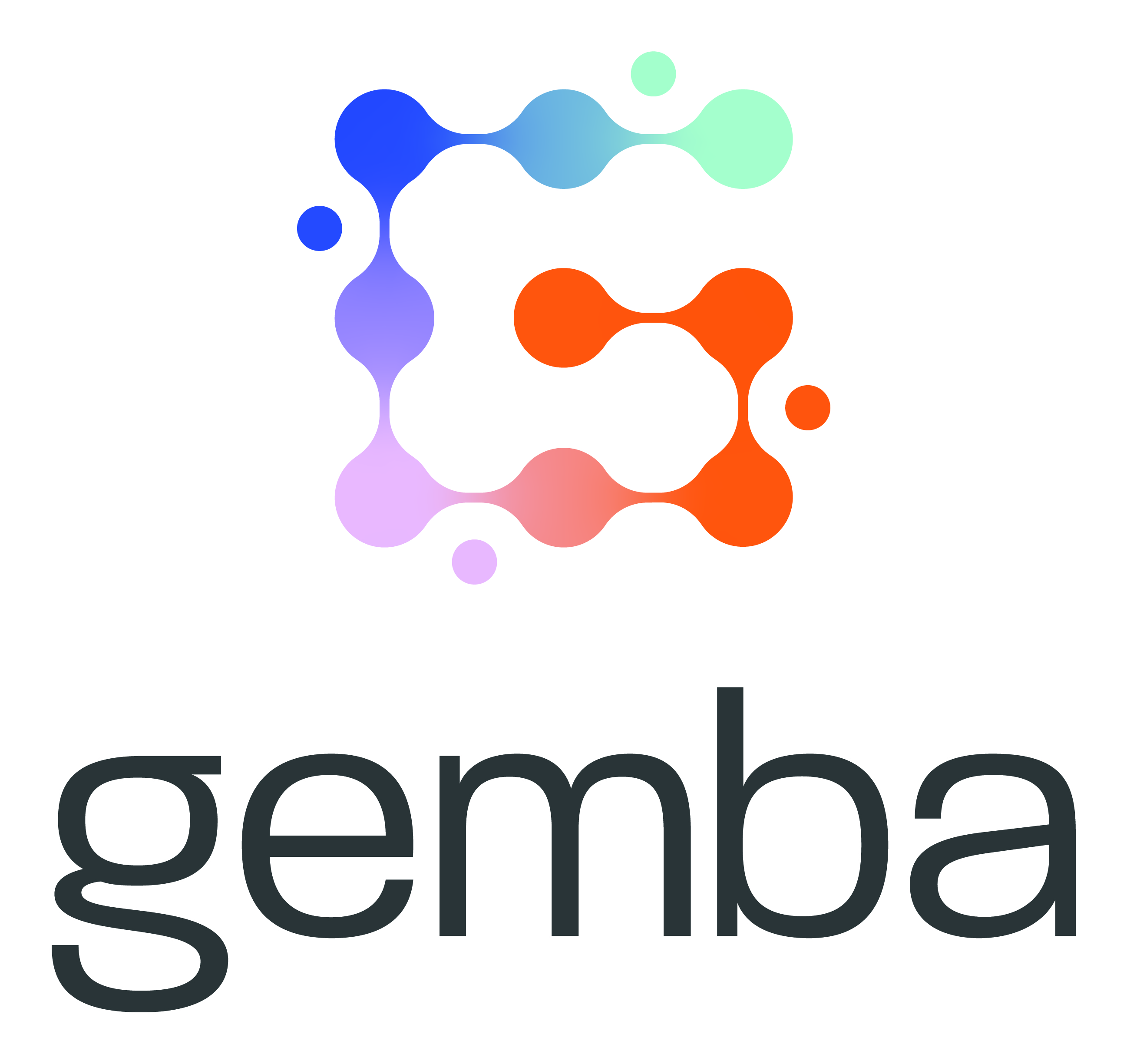 Gemba Solutions